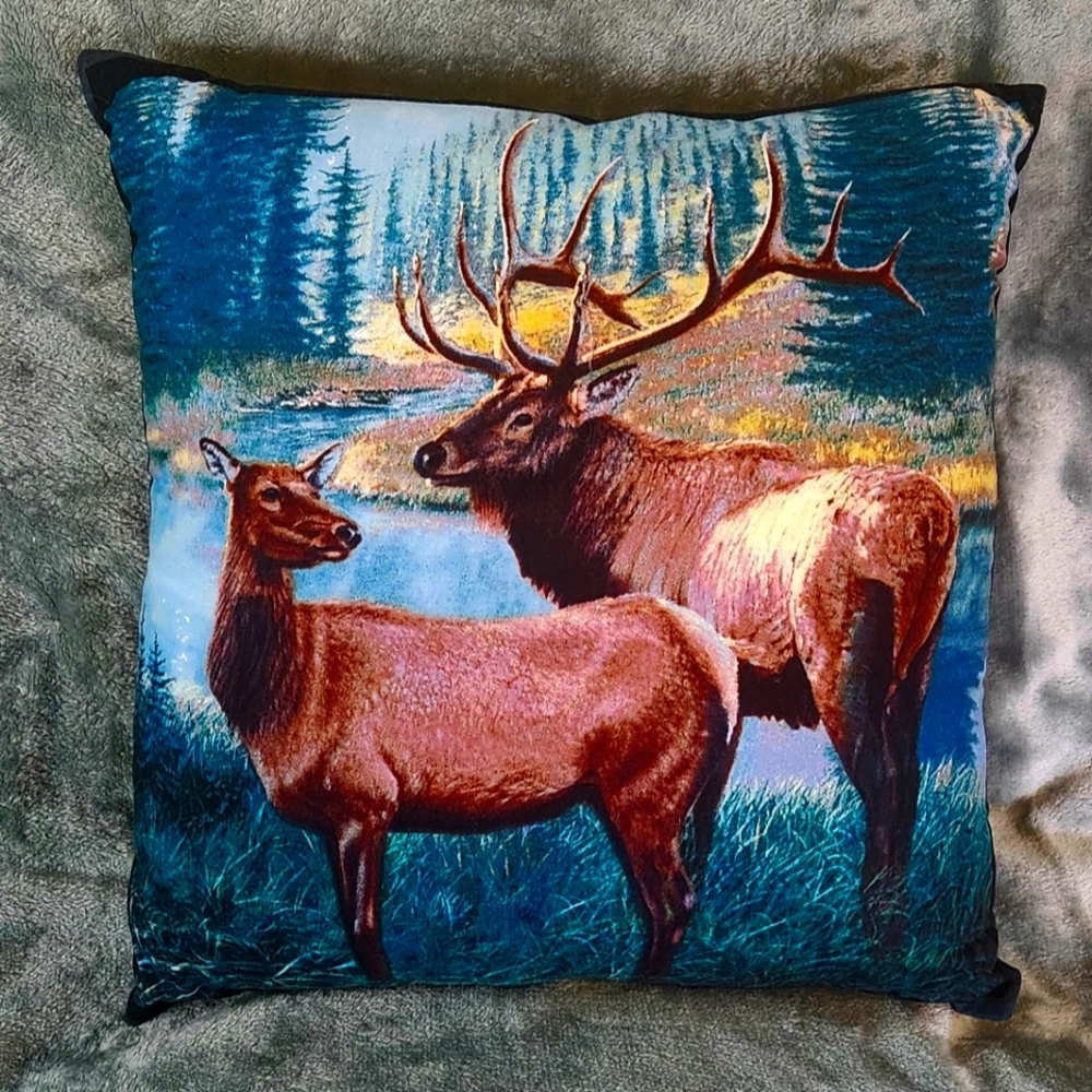 Throw Pillow